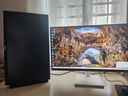 LG27英寸4K显示器 设计师 IPS面板 设计绘图 硬件校准 Mac外接液晶台式电脑显示屏幕 游戏电竞 27US500【4K新品】 27UL550升级款 实拍图
