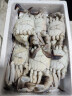 至鲜 梭子蟹2.6斤/6-8只整只当季液氮冷冻梭子蟹3-5两/只吕四黄海海鲜大螃蟹新鲜大海蟹 实拍图