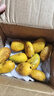 尔蝶海南小台农芒果10斤新鲜小台芒当季热带水果现摘甜心小芒果整箱 小果尝鲜 单果50-70g-爆甜多汁 精选3斤装 净重2.8斤 实拍图