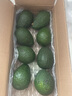 鲜青录秘鲁进口牛油果鳄梨奶油酷热带新鲜宝宝孕妇水果 1040g划算8个中大果 单果130-160g 实拍图