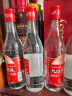 九江双蒸 豉香型白酒 29.5度500mlx12瓶出口装整箱 米酒浸泡青梅白酒送礼 实拍图