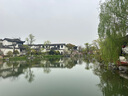 特美居一次性碗可降解玉米淀粉餐盒圆形350型打包饭盒餐碗30只露营餐具 实拍图