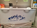 雪人兄弟冰柜商用家用冷柜卧式大容量冷藏冷冻两用冰柜 【深寒纪元系列】620升丨1.93米丨一级能效 铜管制冷丨180天只换不修 实拍图