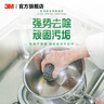 3M 思高 金属钢丝球  厨房刷子 清洁球 刷碗刷锅cbg 金属钢丝球6个【1袋简约装】 实拍图