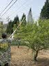 沃农赛德 新款遥控电动打药机感应放管三轮车果园高压全自动收放管喷雾机 【加强机架】48-72V电动车专用 100米防爆管 实拍图