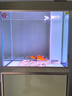 森森（SUNSUN）鱼缸水族箱客厅免换水风水家用金鱼缸 0.6米长 34.6cm宽 时尚底滤(黑白灰可选) 晒单实拍图
