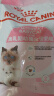 皇家幼猫奶糕 幼猫猫粮 BK34 通用粮 1-4月 2KG 实拍图