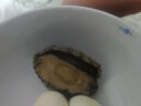 江船长 冷冻大鲍鱼 净重400g 10粒袋装 火锅食材 烧烤 贝类海鲜生鲜 实拍图