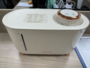 摩飞电器（Morphyrichards） 家用无雾迷你加湿器恒温加热无耗材孕妇婴儿智能调控自动加湿机MR2081 迷你无雾 300mL/h 实拍图
