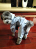 憨憨宠狗狗雨衣狗衣服小型犬全包四脚反光户外防风保暖冲锋衣服防水雨披 蓝色 L号建议体重5-8斤 实拍图