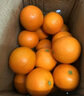 酷果汇湖北秭归中华红血橙子当季孕妇小孩新鲜水果红心脐甜橙现摘5/9斤 【爆款】4.5-5斤-单果60mm+精美彩箱【赠开果器】 实拍图
