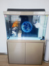 森森（SUNSUN）大型鱼缸底过滤水族箱客厅家用落地玻璃生态金鱼缸 【实时温显+灯控】宝马灰 1米长35cm宽 实拍图