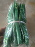 yuanyiba水果套袋防鸟防虫专用网袋葡萄无花果枇杷芒果草莓桃子保护袋子 20x30cm/50个绿色/阳光玫瑰专用 实拍图