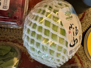 小汤山 圆白菜 约500g 新鲜蔬菜基地种植当天采摘 实拍图
