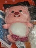 名创优品（MINISO）赞萌露比系列-认真星星眼表情款站姿公仔布娃娃礼物女生(眼镜款) 实拍图