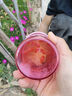 特百惠（Tupperware）雅致300ML塑料杯男女士学生儿童夏季水杯子户外便携口袋杯 日出黄 实拍图