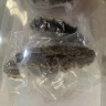 皇家麒麟 即食海参 即食大连刺参单个装辽刺参海参干货水产礼盒净含量500g 7A鲜食海参 13-15只/斤 一斤装 实拍图