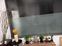开时果 文竹盆栽桌面摆件盆景 办公室植物竹子水培绿植盆景源头直发包邮 【DY同款】悟字紫砂盆+苔藓+底座 实拍图