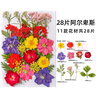 佳茉透明干花书签手工diy材料包标本pvc塑封膜创意植物树叶压花瓶子吊瓶小学生压花瓣玻璃毕业季送同学 实拍图
