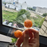 草木方金桔干250g 【精选大果】金桔干蜜饯果脯果干 办公室休闲零食 实拍图