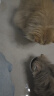 皇家（ROYAL CANIN）猫粮 幼猫猫粮 幼猫奶糕 K36 通用粮 4-12月 4.5KG*2 实拍图