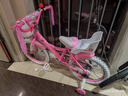 永久儿童自行车高碳钢车架带辅助轮2-6-10岁女童单车女孩公主款脚踏车 【白胎】公主粉+娃娃兜带小熊 18寸【适合身高120-140cm】 实拍图