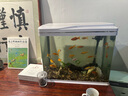 寸金热带鱼饲料观赏鱼粮小鱼红绿灯玛丽月光箭尾孔雀鱼斗鱼食小鱼饲料 热带鱼饲料70G*10包 实拍图