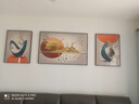 Sixpoetry 客厅装饰画现代简约沙发背景墙壁画轻奢三联晶瓷画大气高档挂画 福禄生机（铝合金外框） 镶钻画左右60*80+中间120*80亮面 实拍图