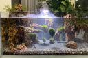威力顿国象珊瑚专用胶海缸水族造景SPS粘珊瑚基座底座纽扣活石LPS鱼缸水草莫斯强力啫喱胶水可水下操作 国象珊瑚胶20g*3支(送指套) 实拍图