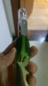 百雀羚眼霜肌初赋活多肽紧致导入眼霜20g紧致提拉淡化细纹母亲节送妈妈 实拍图