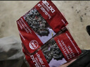 德力西(DELIXI)电锯油锯电链锯条配件6-16寸伐木链条 12寸电链锯淬火链条[2条装] 实拍图