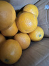广西武鸣沃柑2025橘子新鲜水果当季一级沙糖蜜橘砂糖柑橘大果 中果(单果径60-65mm) 净重3斤 实拍图