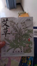 米卡博艾草蒸汽眼罩加热热敷舒缓疲劳睡眠眼罩自发热通用型 10片【艾草热敷 温润护眼】 实拍图
