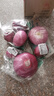 京百味 甘肃农特产 紫洋葱 750g 简装 新鲜蔬菜 实拍图