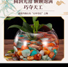 漫生活雨花石鹅卵石圆形1-2cm彩色500g天然原石鱼缸造景庭院花盆装饰 实拍图