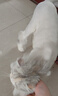 智宙猫咪衣服保暖秋冬季布偶猫背心绒衣宠物小型犬狗狗小猫幼猫防掉毛 高品质兔毛绒-粉色 L (6-9斤内) 实拍图