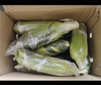 滇味十足（DIANWEISHIZU）水果玉米甜玉米云南金银双色新鲜甜嫩水果玉米棒鲜玉米茄果瓜 金银双色 精选大果7根 实拍图