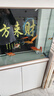 森森（SUNSUN）鱼缸水族箱含鱼缸过滤器灯大型金鱼缸 珍珠白 时尚款0.8米长34.6cm宽底滤 带棉+滤材 实拍图