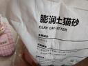 宠幸 膨润土猫砂8.3kg 快速吸水牢固结团低尘除臭猫砂 实拍图