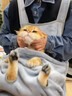 驭瑛撸猫围裙专用衣服抱猫服猫咪剪指甲固定包神器围兜防毛罩衣不粘毛 轻薄-撸猫围裙(带洞) 实拍图