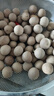 烘新【当季新货】正宗福建莆田12A桂圆干特级肉厚特大新鲜带壳龙眼肉 真·10A桂圆干【直径25-26mm】 1斤【500g*1袋】 实拍图