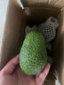 京遇良橙墨西哥进口牛油果 健康轻食精品大果巨无霸当季新鲜水果 8个特级巨无霸【单果180-200g】 实拍图