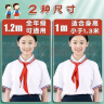 家用手套一次性钓鱼户外垂钓夏春防水 开学季-棉质红领巾【2条】 实拍图