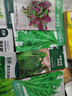 寿禾 花苋菜种子苗汉菜秋季家庭盆栽蔬菜种籽 潍丰花叶苋菜种子12g 实拍图