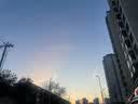 今叶子炒熟麦芽山楂大麦茶回奶宝退奶茶科学断奶神器必备泡水2罐共360g 实拍图