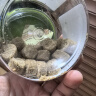 麦德氏IN-PLUS猫用护毛胶原蛋白卵磷脂500g 猫咪卵磷脂美毛护肤营养品  实拍图