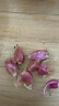 春蝶蔬菜种子四季播盆栽阳台庭院黄瓜豆角番茄甜瓜易种籽孑大全 割茬茴香【原装1包 约500粒】 一包(试种贵在快递费) 实拍图