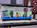 Barbarous Growth鱼缸水族箱客厅阳台家用中小型自循环懒人免换水生态塑料金鱼缸 特大号黑色【过滤氛围套餐】 实拍图