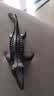 玛奇乐（MECHILE）仿真恐龙玩具动物模型静态摆件霸王龙迅猛龙剑龙三角龙翼龙棘龙 沧龙 实拍图