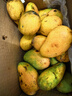 京鲜生海南小台农芒果 净重4.5斤 单果70g+ 新鲜水果 源头直发 实拍图